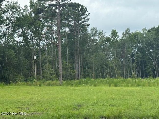 751 Stack Turner Rd, Home with 0 bedrooms, 0 bathrooms and null parking in Chadbourn NC | Image 8