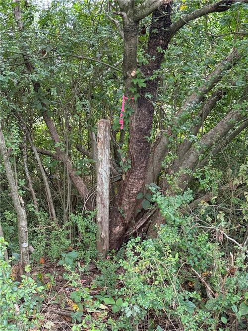 Lot 3 Ruff Hollar Dr, East Bend, NC, 27018 | Card Image