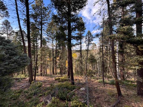 11 Lakewood Way, Angel Fire, NM, 87710 | Card Image