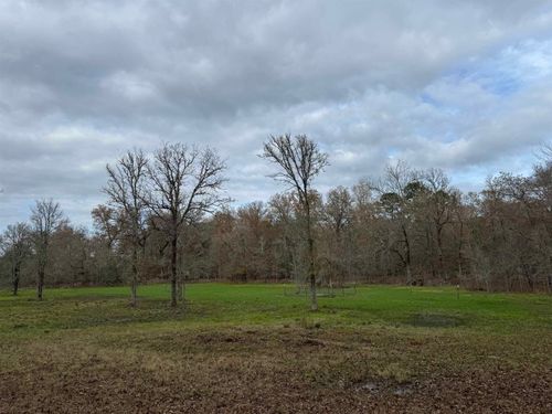 TBD Private Rd 1331, Elysian Fields, TX, 75642 | Card Image