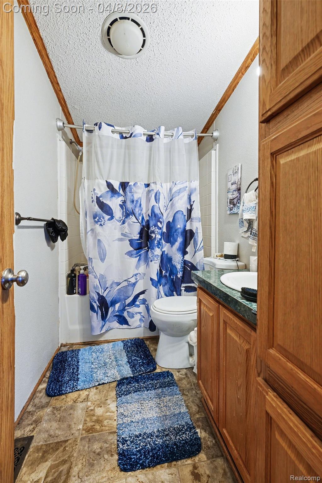 Residential in Clinton Charter Township 3