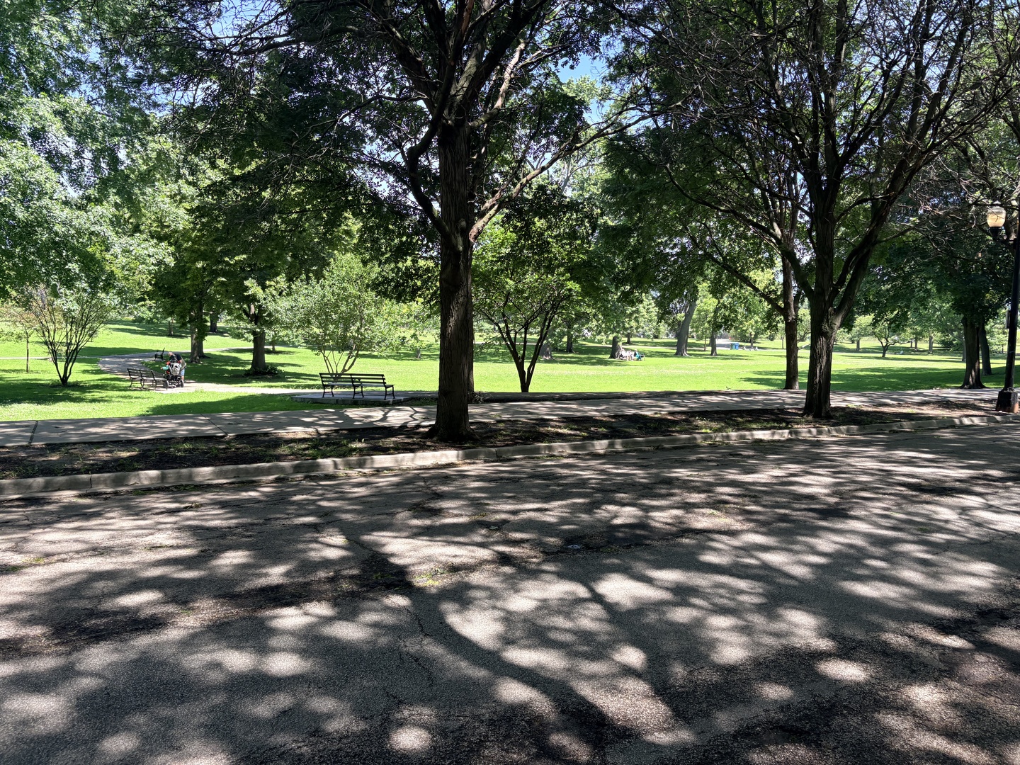 Residential in Chicago 3