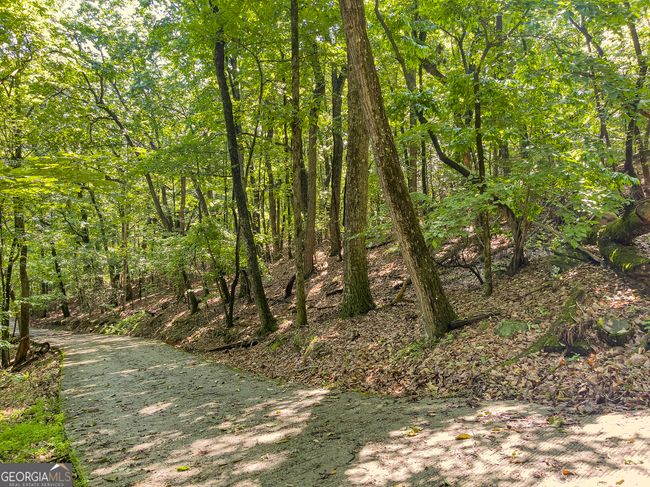 3.65AC Emory Stephens Rd, Home with 0 bedrooms, 0 bathrooms and null parking in Murrayville GA | Image 14