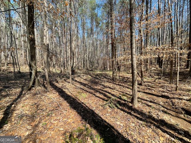 2 - 0 Joe Cook Rd, Home with 0 bedrooms, 0 bathrooms and null parking in Franklin GA | Image 4