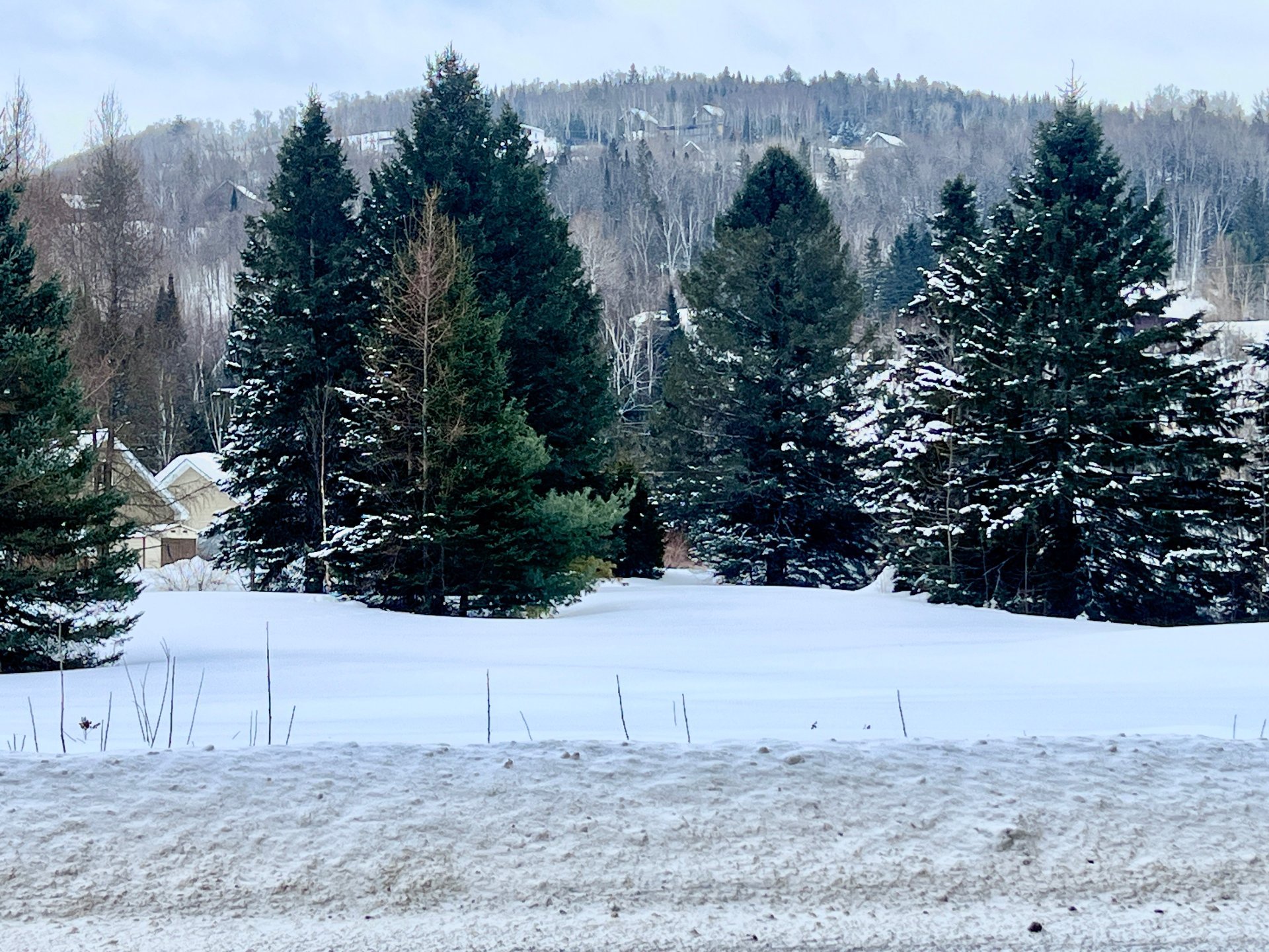 Land in Saint-Côme 5