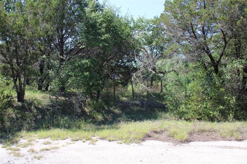 8203 Cedar Glen Cv, Lago Vista, TX, 78645 | Card Image