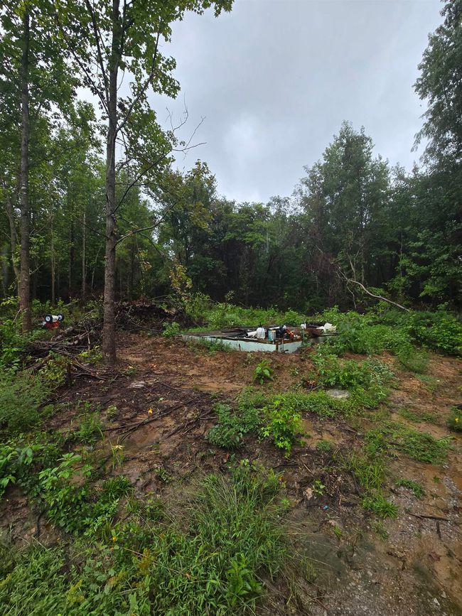 630 Glen Springs Rd, Home with 0 bedrooms, 0 bathrooms and null parking in Drummonds TN | Image 4