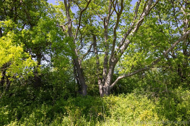 3 W Oak St, Home with 0 bedrooms, 0 bathrooms and null parking in Skiatook OK | Image 23