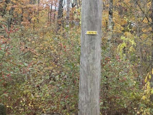 M2-l29-2 Province Road, Barnstead, NH, 03218 | Card Image