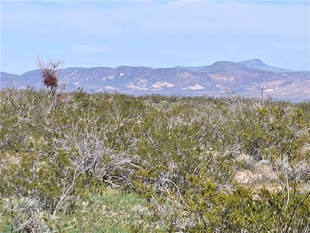 Land in Dolan Springs