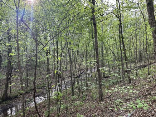 828 Mccord Hollow Rd, Hohenwald, TN, 38462 | Card Image