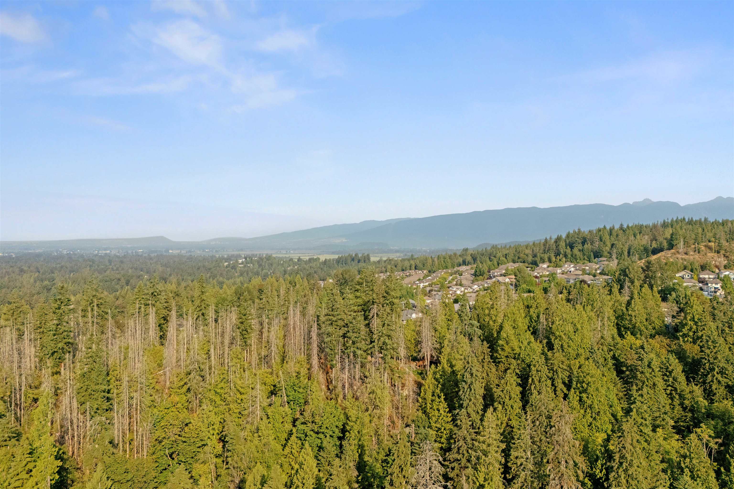 Residential in Maple Ridge