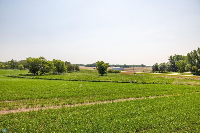 Amdak__Fosston MN - Land_0006.jpg | Image 7