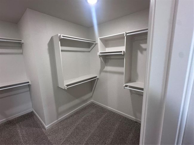 Spacious closet featuring carpet flooring | Image 8