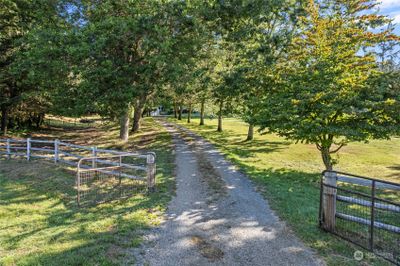 Grand Tree-lined Entry. Fully Fenced & Gated. | Image 2