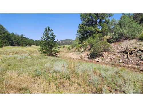 553 Coyote Run, Cotopaxi, CO, 81223 | Card Image