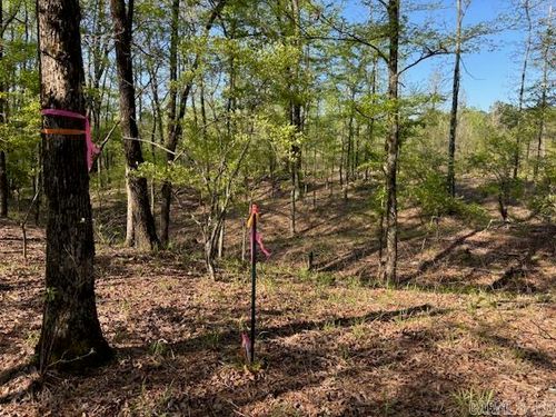 0 Grant 291020, Prattsville, AR, 72129 | Card Image