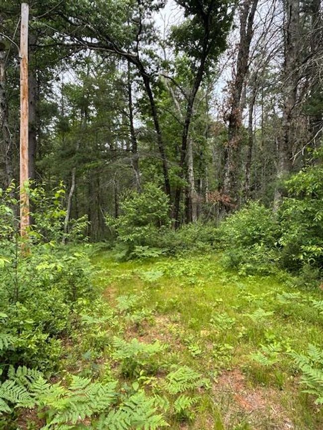 4901 S Spruce Ave, Home with 0 bedrooms, 0 bathrooms and null parking in Newaygo MI | Image 8