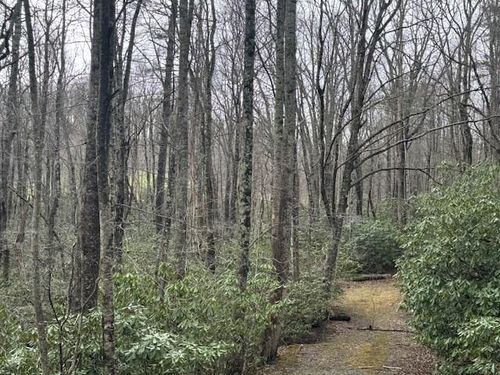 TBD Fancy Gap Hwy, Fancy Gap, VA, 24328 | Card Image