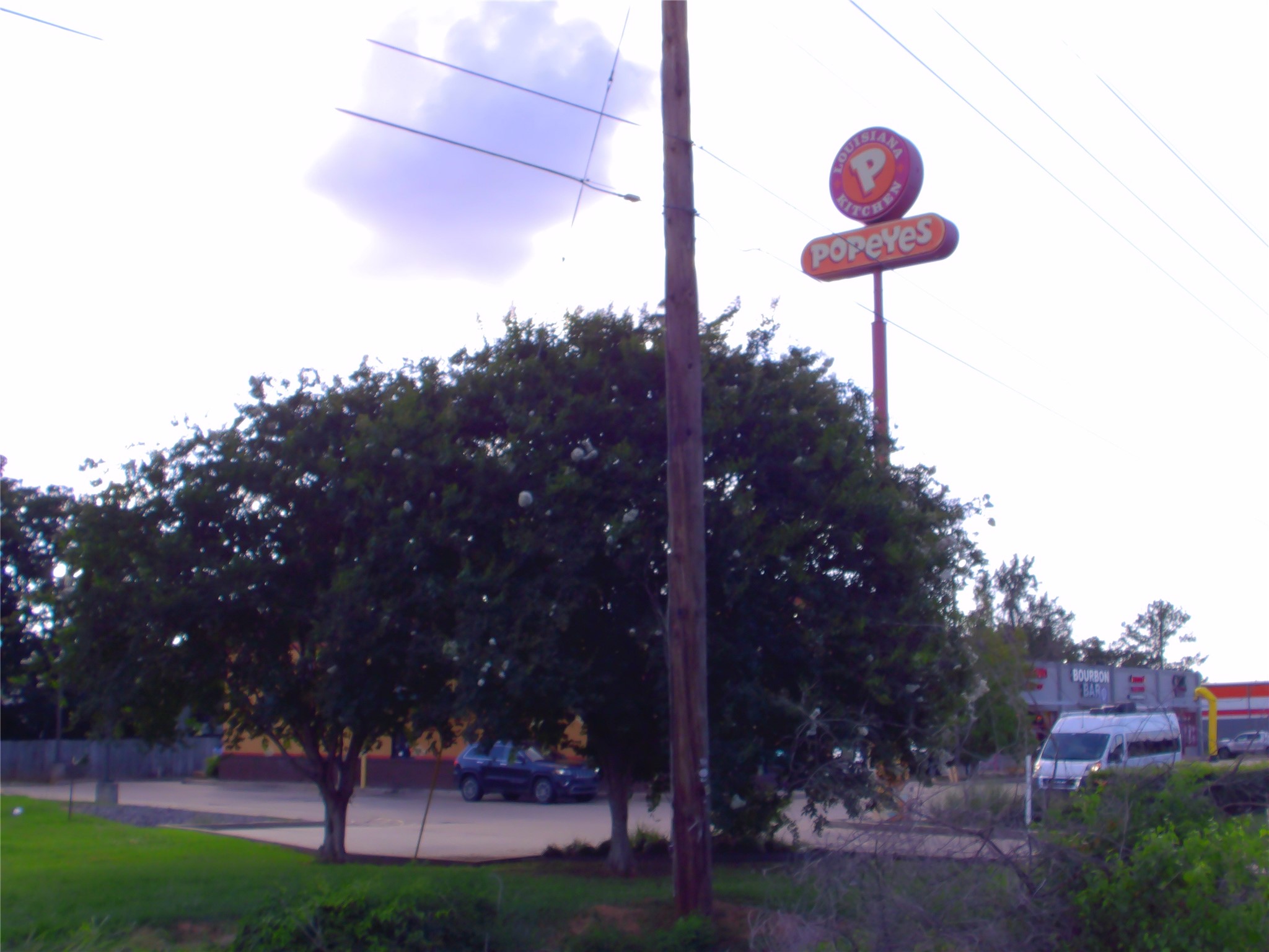 Land in Shreveport 3