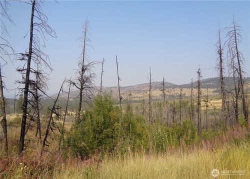 18 Red Feather Rd, Riverside, WA, 98849 | Card Image