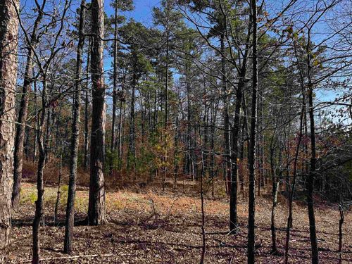 TBD Gardenia Ln., Mena, AR, 71953 | Card Image