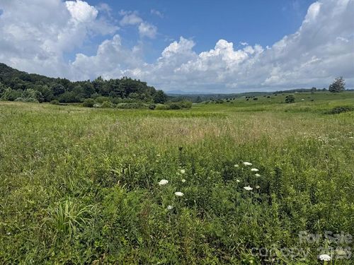 TBD Blue Ridge Pkwy, Ennice, NC, 28623 | Card Image
