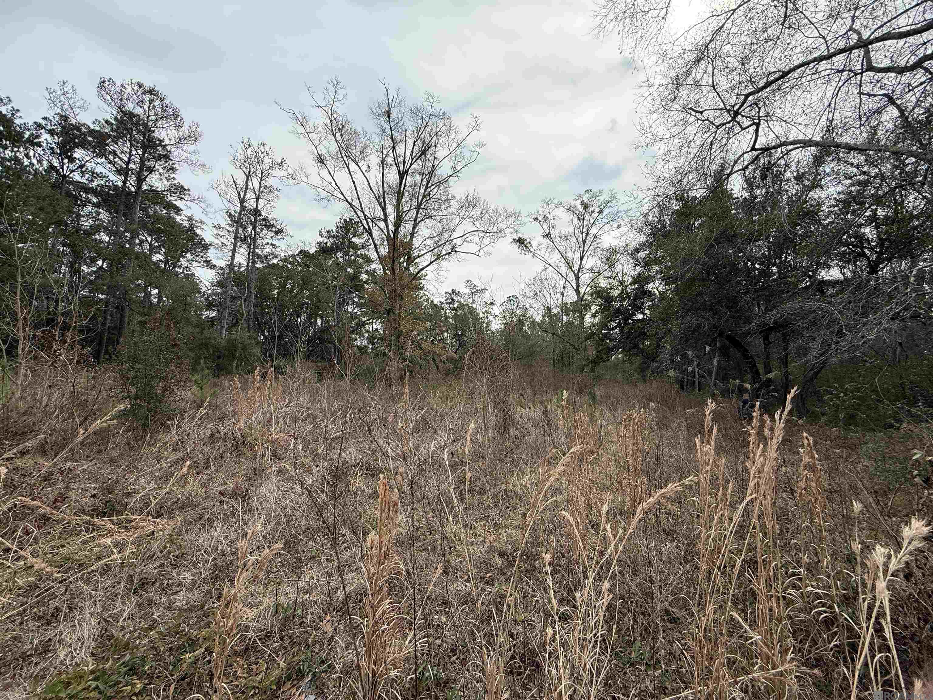 Land in Lacombe 2