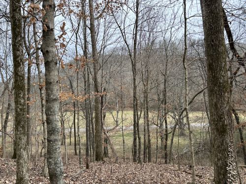 0 Cathcart Rd, Frankewing, TN, 38459 | Card Image