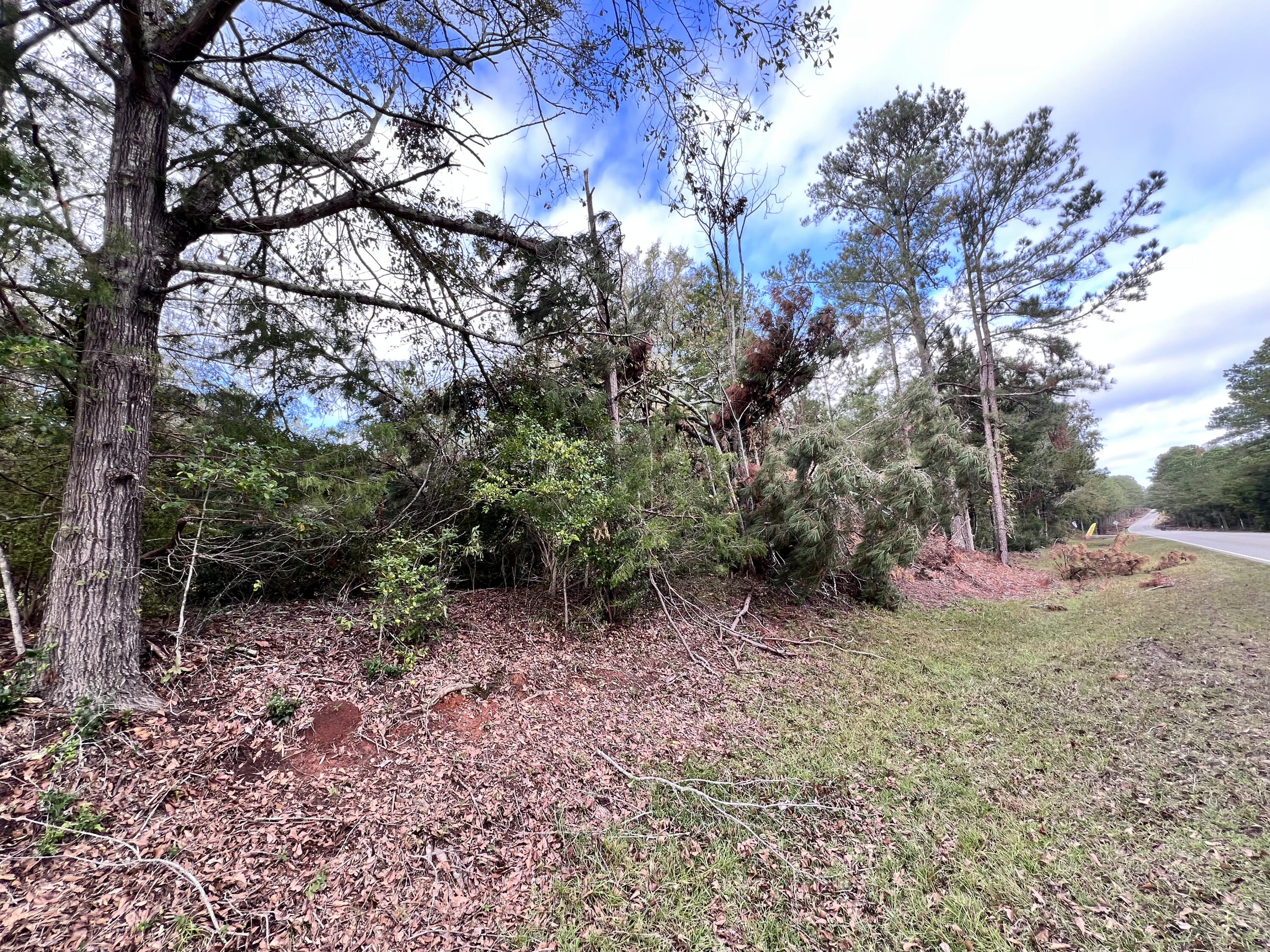 Land in Appling 3