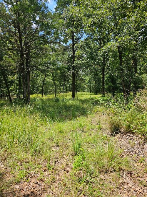 LT 377 Timber Rdg, LaRue, TX, 75770 | Card Image