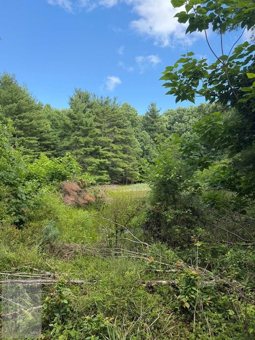 0 Cornbread Ridge Rd, Princeton, WV, 24739 | Card Image