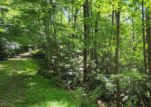 Lot 16 Misty Dawn Trail, Fancy Gap, VA, 24328 | Card Image