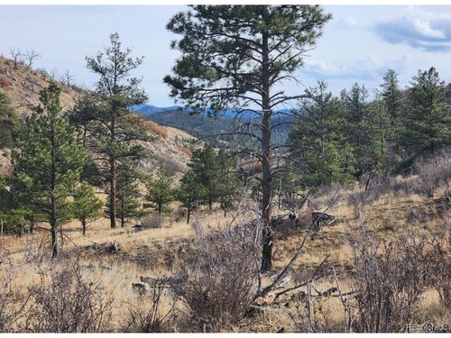 961 Shannon Trl, Canon City, CO, 81212 | Card Image