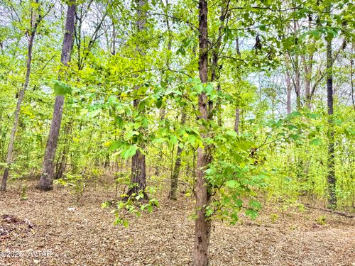 0 Peregrine Rise Drive, Big Sandy, TN, 38221 | Card Image