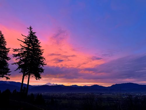 72-35287 Old Yale Rd, Abbotsford, BC, V3G8H5 | Card Image