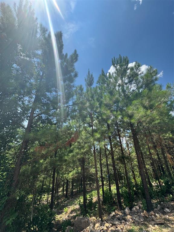 Land in Broken Bow 5