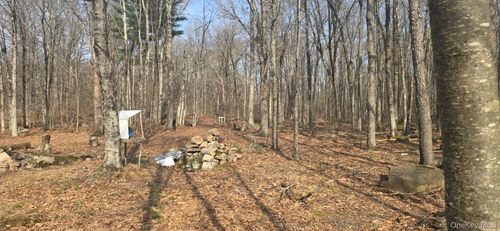 8 Starlight Dr, Monticello, NY, 12701-4622 | Card Image