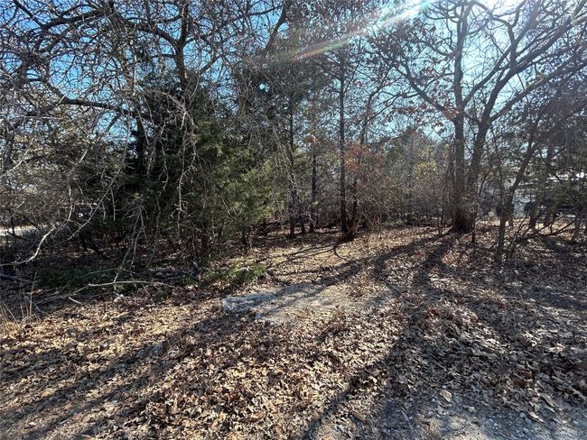 1709 Sheila Dr, Home with 0 bedrooms, 0 bathrooms and null parking in Azle TX | Image 6