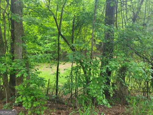 tract-1-0 Fincherville Rd, Jackson, GA, 30233 | Card Image