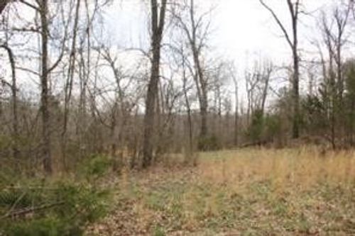 Lot 24 Dogwood Dr, Omaha, AR, 72662 | Card Image