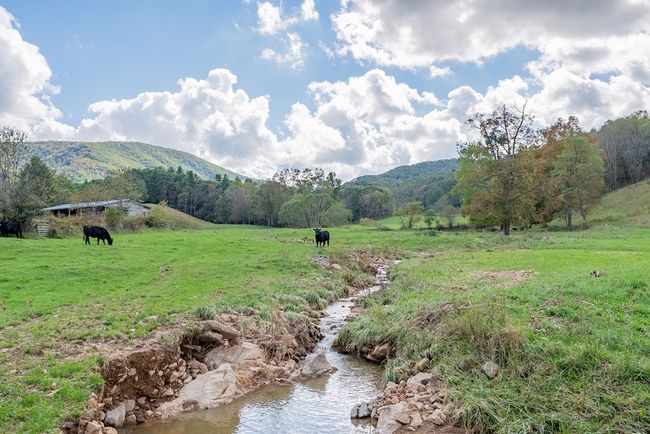 214 Comers Creek Rd, Home with 0 bedrooms, 0 bathrooms and null parking in Sugar Grove VA | Image 35