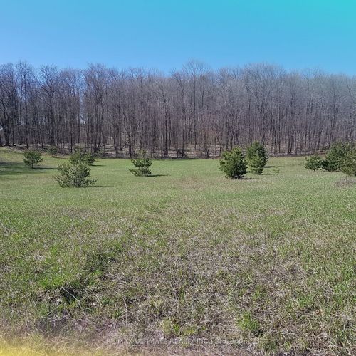 1024 Old Barrie Rd E, Oro Medonte, ON, L0L1T0 | Card Image