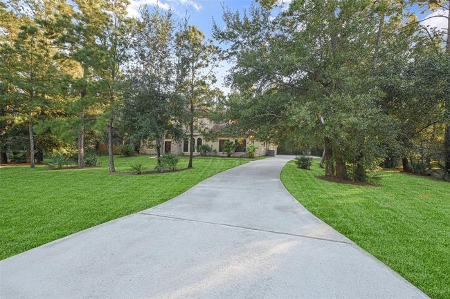 Beautiful mature trees and lush landscaping. | Image 4