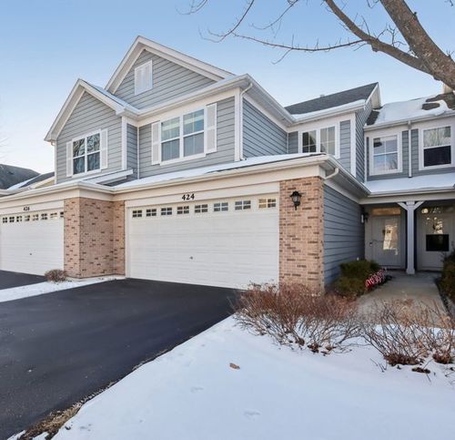 424 Acushnet St, Elgin, IL, 60124-3836 | Card Image