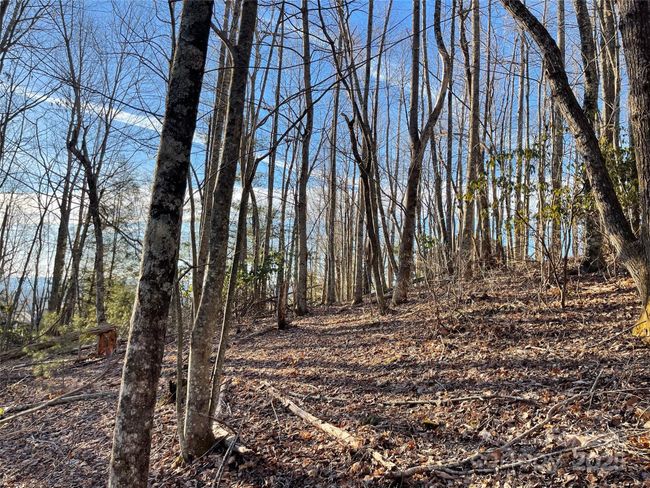 191 - 000 Hardwood Summit Dr, Home with 0 bedrooms, 0 bathrooms and null parking in Hendersonville NC | Image 13