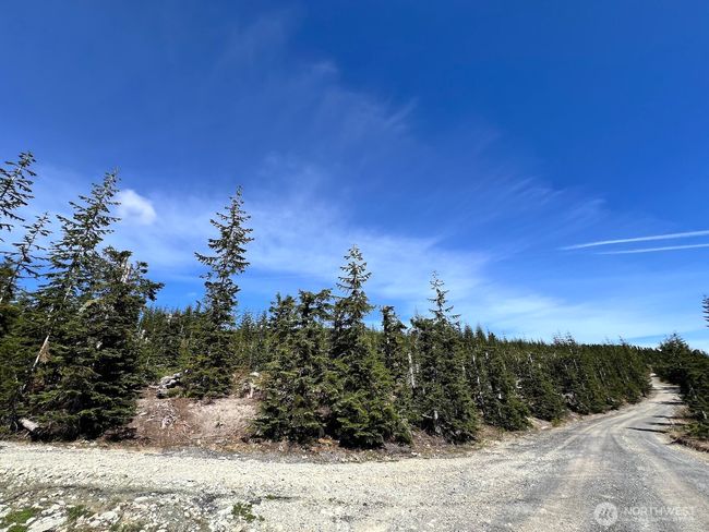 0 xxxx Spirit Lake Hwy, Home with 0 bedrooms, 0 bathrooms and null parking in Stevenson WA | Image 34