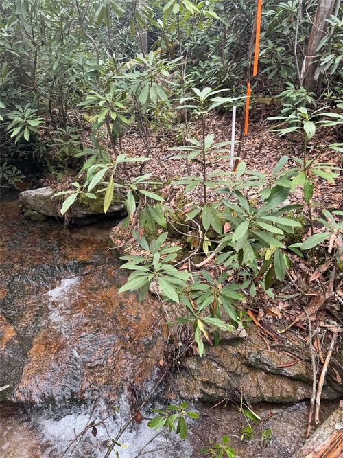 a-Tract A Cherrywood Lane, Pisgah Forest, NC, 28768 | Card Image