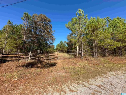 0-0 County Road 483, VINCENT, AL, 35178 | Card Image