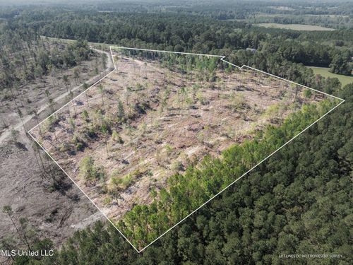 14.55 +/- Shirley Sanford Rd, Seminary, MS, 39479 | Card Image